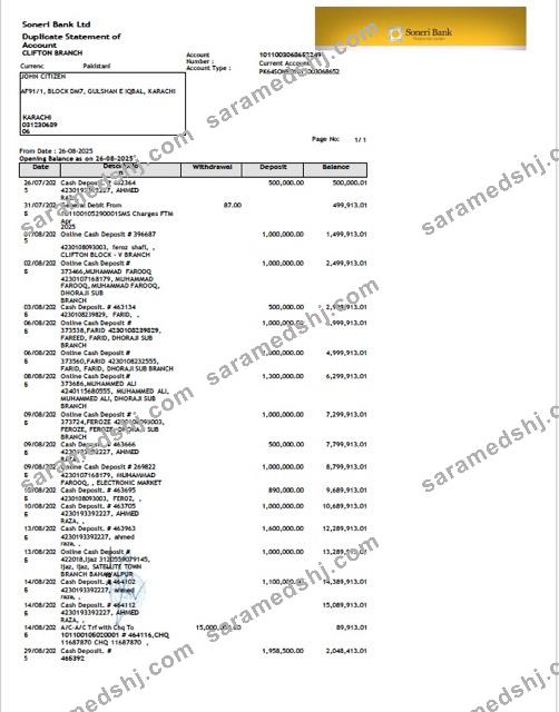 Pakistan Soneri Bank statement of account Word and PDF template